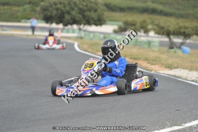 DSC (3853).JPG